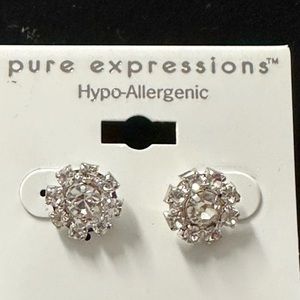 Hypoallergenic Earrings, silver color